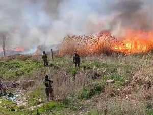 Штормовое предупреждение по пожароопасности в Ростовской области продлено до 18 июля