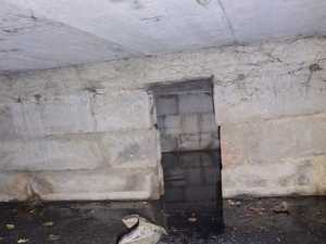 В многоквартирном доме посёлка ГРЭС-Артём расплодились блохи и комары из-за текущей канализации