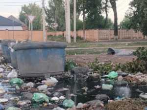 В посёлке Красина города Шахты не убирается территория рядом с мусорными баками