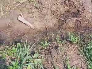 В посёлке Аюта города Шахты уже шестые сутки нет воды из-за аварии на водопроводе