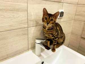 В городе Шахты 28 июля без воды остались жители более четырёх улиц