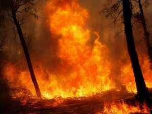 В Ростовской области объявили режим пожароопасности 1 и 2 августа