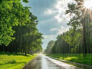 Начало августа в Шахтах будет жарким, но не обойдётся без дождей