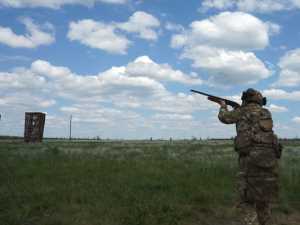 Ростовская область не вошла в список приграничных СВО территорий