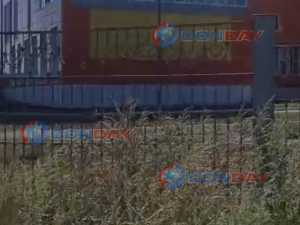 Вокруг забора школы №48 в городе Шахты метровые заросли травы