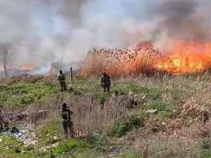 В Шахтах объявлено штормовое предупреждение из-за пожароопасной обстановки