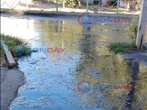 Детям придется идти в школу по дороге залитой нечистотами на проспекте Чернокозова в городе Шахты