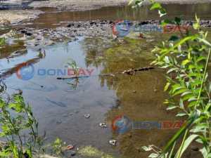 В поселке Артём города Шахты образовались болота из-за непрерывно текущей воды