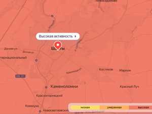Риск обострения аллергии на амброзию в городе Шахты будет высоким до конца августа