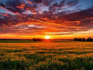 В Шахтах установится жаркая и ясная погода на выходные