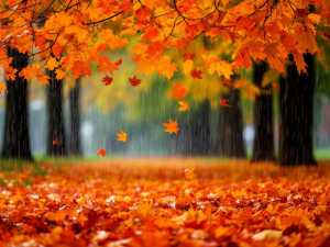 В Ростовской области объявили штормовое предупреждение