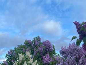 Жителей Шахт ждет прохладная ветреная неделя