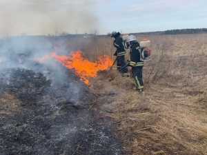 Высокий уровень пожароопасности был объявлен в Шахтах