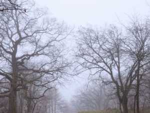 Предстоящая неделя в Шахтах принесет похолодание