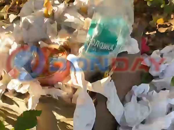 Автобусная остановка в городе Шахты усыпана мусором