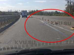 Водители до основания сбили сигнальные столбики на опасном развороте под Шахтами