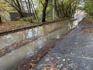 Жители Шахт месяц обходят зловонные воды по бордюрам, усыпанным стёклами