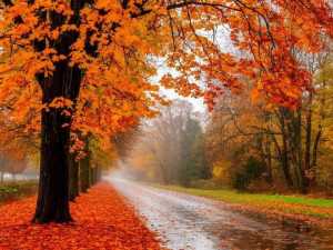 В Шахтах ожидаются ветер, облачность и небольшое потепление на предстоящей неделе