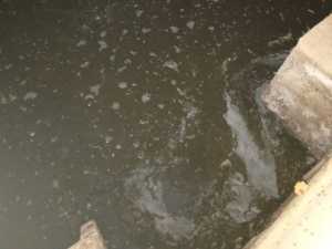 У жителей Шахт нет отопления из-за затопленного нечистотами подвала