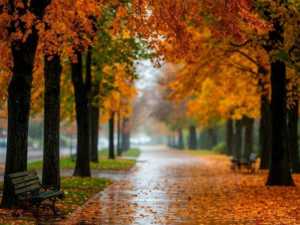 Первые дни ноября в Шахтах будут сопровождаться лёгкой прохладой