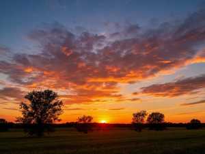 В Шахтах в конце недели установится ясная погода без осадков