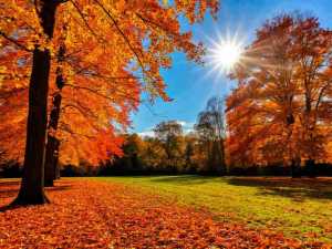 Шахтинцев ожидает тёплая ноябрьская погода на новой неделе