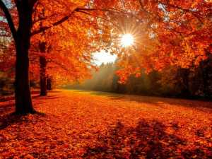 Выходные в Шахтах будут тёплыми и без дождя