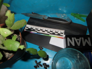 В ходе ссоры житель Шахт три раза пырнул брата ножом