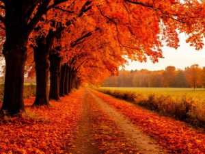 Шахты встретят выходные без осадков и с температурой до +16°