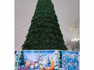 Главную новогоднюю ель уже установили в посёлке Каменоломни