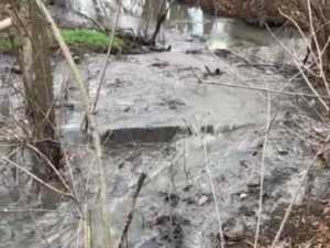 В реку Грушевка в Шахтах более года сливают канализационные стоки – жалуются местные