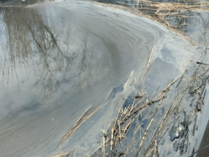 Жители поселка Красный в городе Шахты бьют тревогу из-за загрязнения реки Грушевка