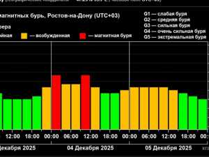 Жителей Шахт предупредили о приближении магнитной бури