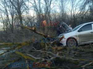 Мощный ствол упал на машину в Шахтах
