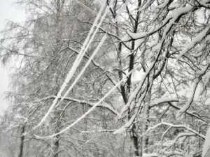 На Ростовскую область надвигаются снегопады и морозы