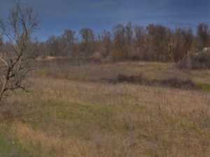 В городе Шахты в поле нашли труп неизвестной пенсионерки