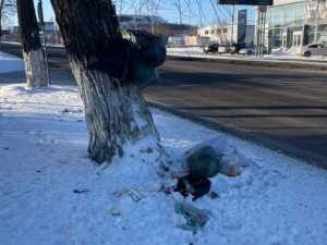 Жители Шахт пожаловались, что центральная улица города превращается в свалку