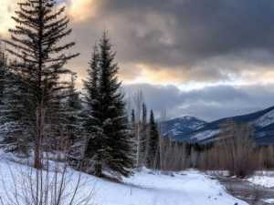 В январе жителей Ростовской области ожидают морозы до -16 градусов