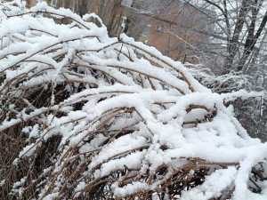 Жителей Шахт предупредили о сильном снегопаде и метелях в Ростовской области
