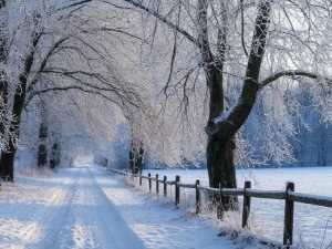 Морозные и  снежные выходные января обещают синоптики в Шахтах