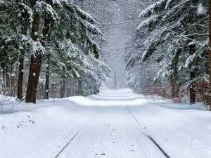 На выходных в Шахтах ожидается метель и сильный мороз