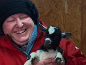 В парке "Малинки" под Шахтами козел Сеня стал отцом 12 малышей