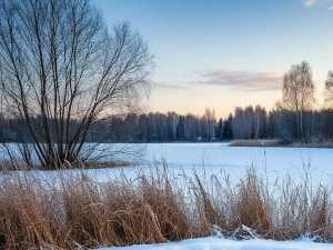 Оттепель и лютые морозы ожидают жителей Шахт на предстоящих выходных