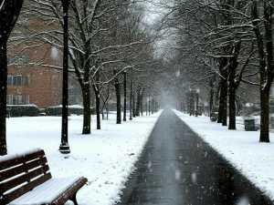 От морозов к оттепели: температурные качели ждут жителей Шахт на предстоящих выходных