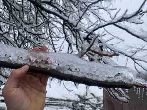 Госавтоинспекция Ростовской области просит водителей быть предельно внимательными из-за дождя