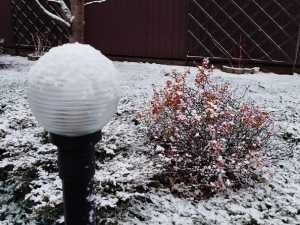 На два дня в Ростовской области объявили штормовое предупреждение