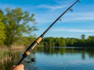 В Ростовской области с 1 марта вводится нерестовый запрет на рыбалку