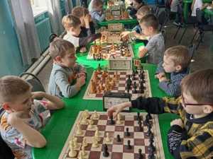 На областных соревнованиях по шахматам спортсмены из Шахт завоевали 8 наград