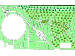 В Александровском парке Шахт высадят 74 канадские ели