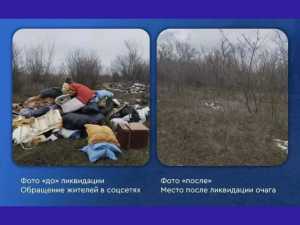Жителя Шахт заставили убрать мусор, который тот оставил в лесополосе